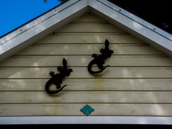 Shiplap Siding Installation in Little Elm
